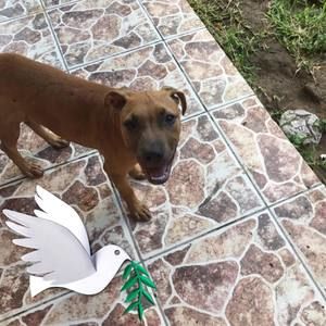 Meet your Posher, Marco